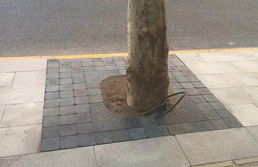 長(zhǎng)壽路-組合式樹(shù)穴蓋板（楓葉）